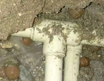 兴平测漏水多少钱