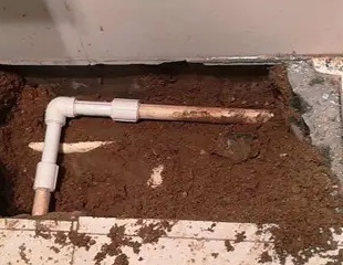 兴平测漏水哪家好