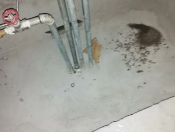 兴平卫生间测漏水价格明细