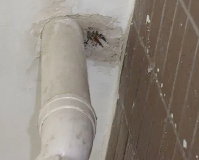 兴平漏水检测哪家好